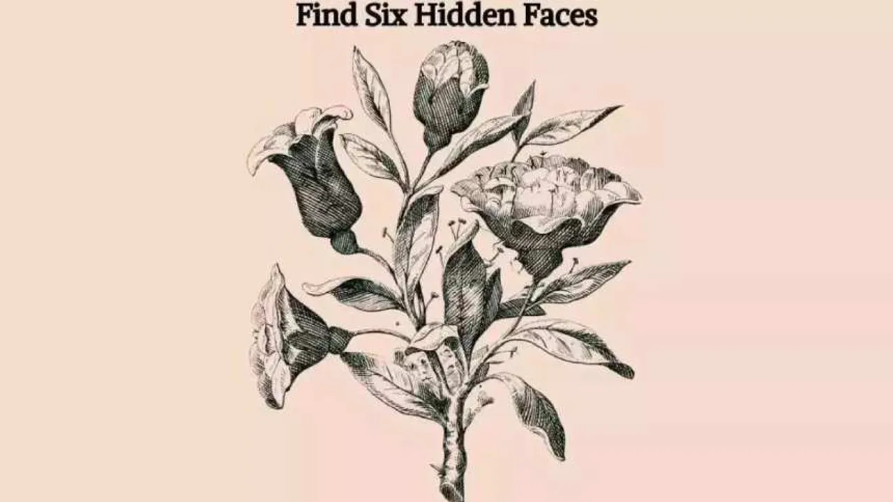 face 1 