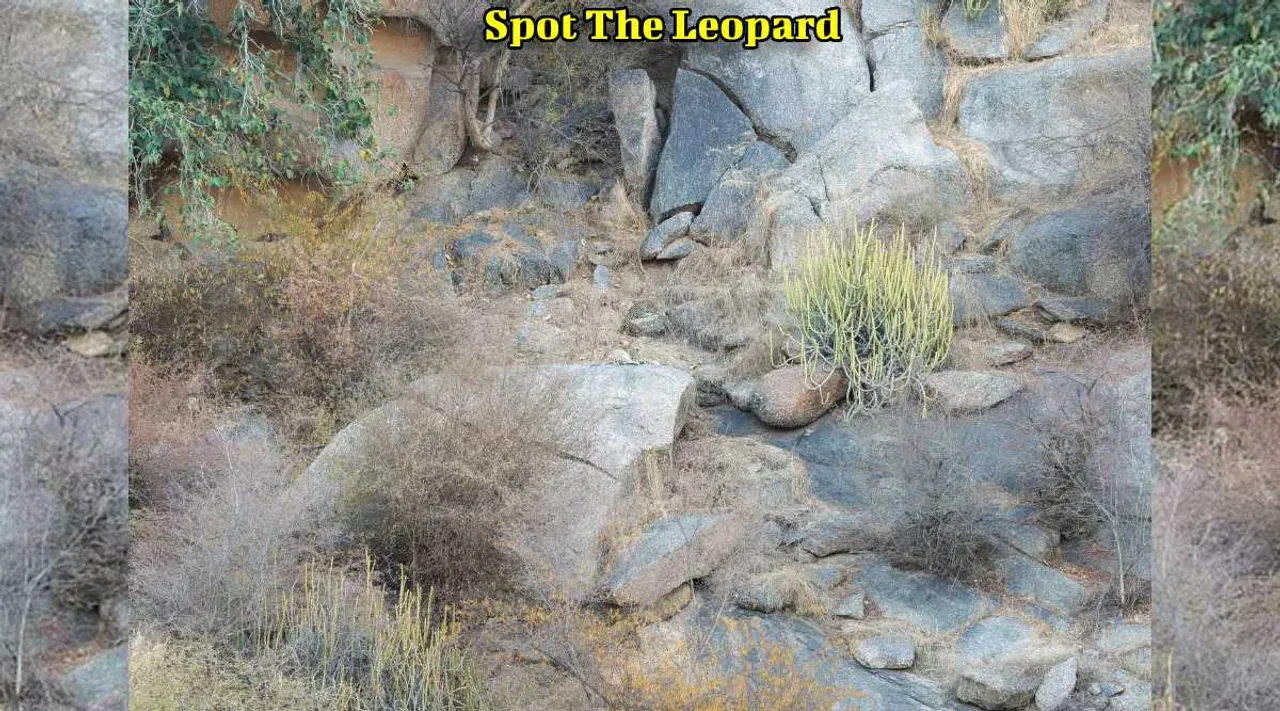 A Leopard 1