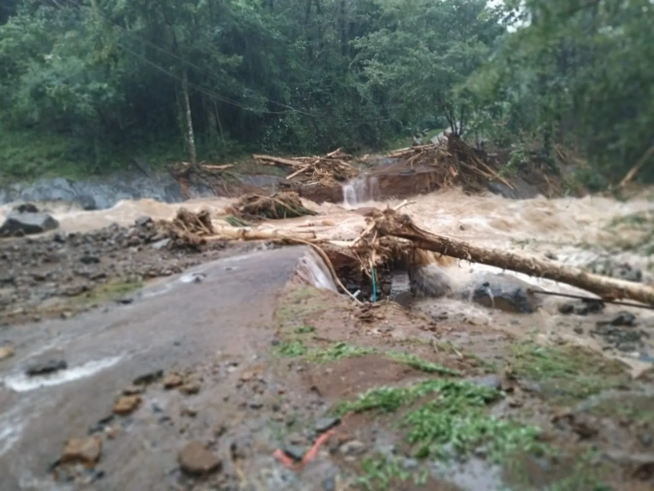 kerala wayanad landslide 