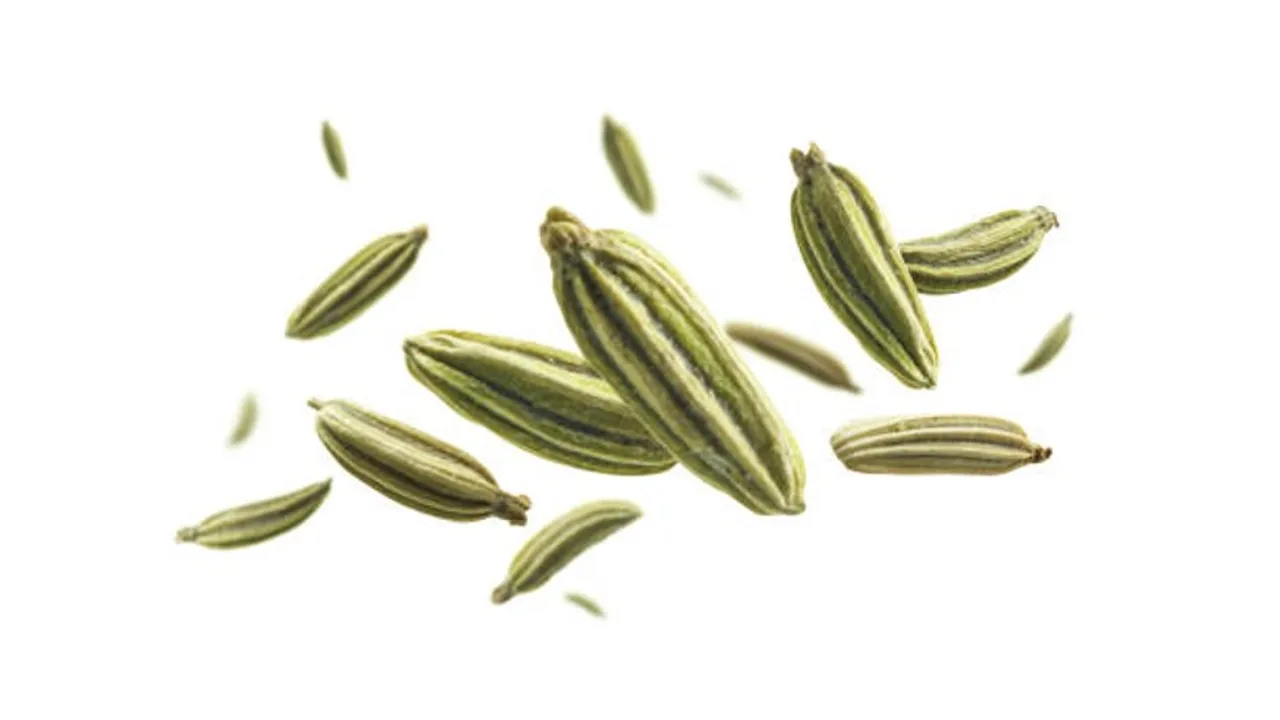 fennel seeds