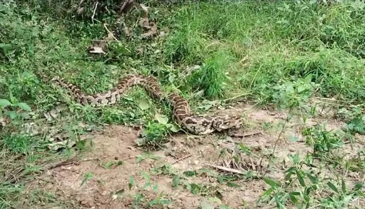 Coimbatore python