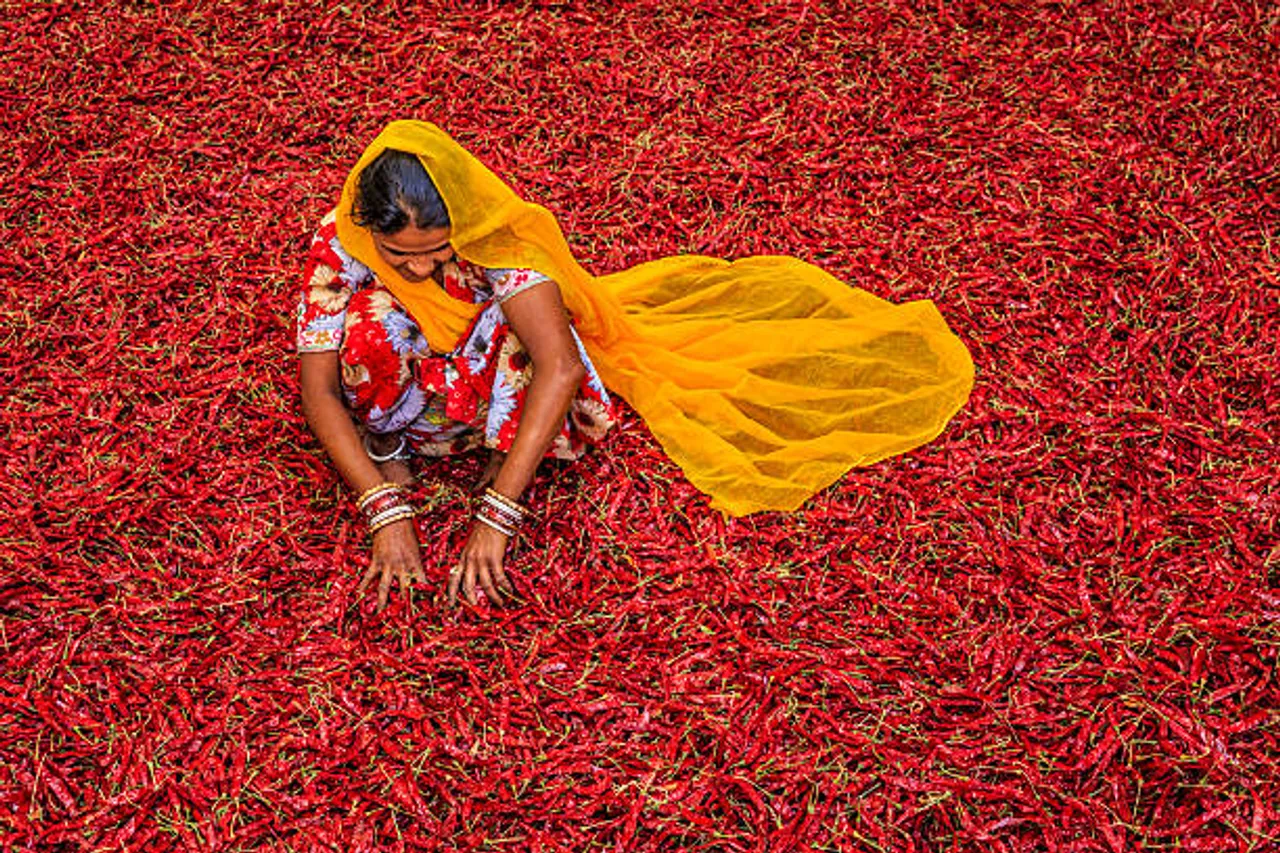 red chilli