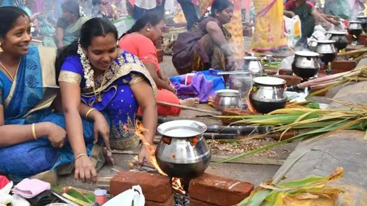Pongal Festival