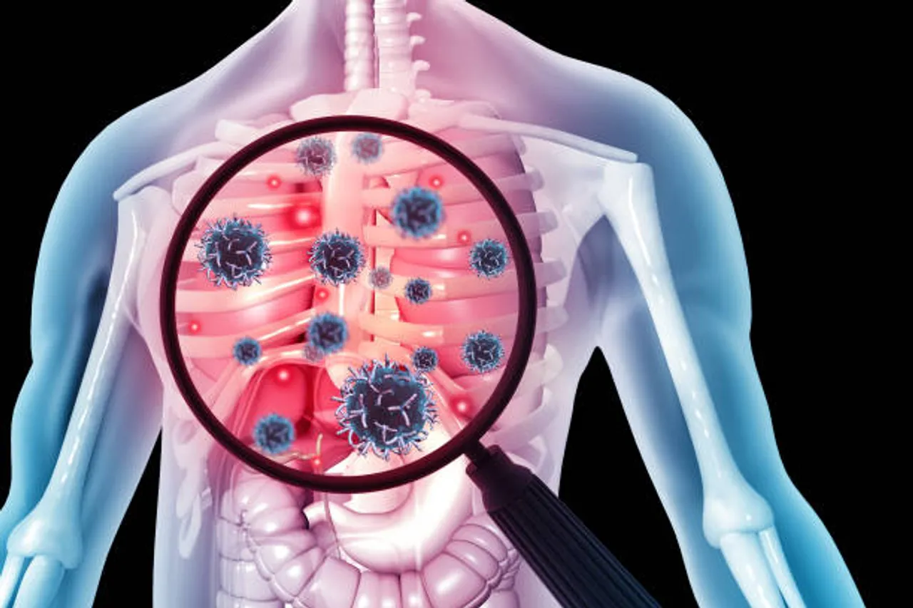 lungs