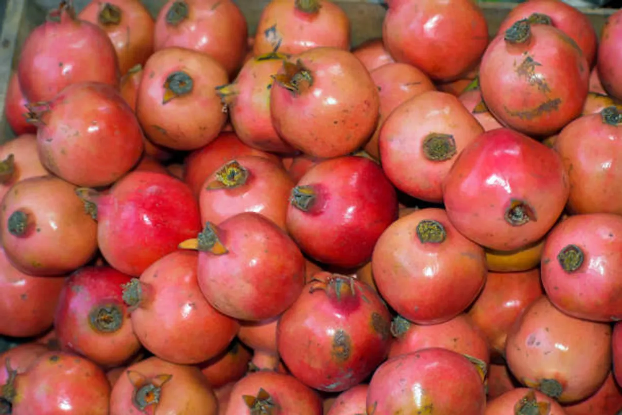 pomegranate