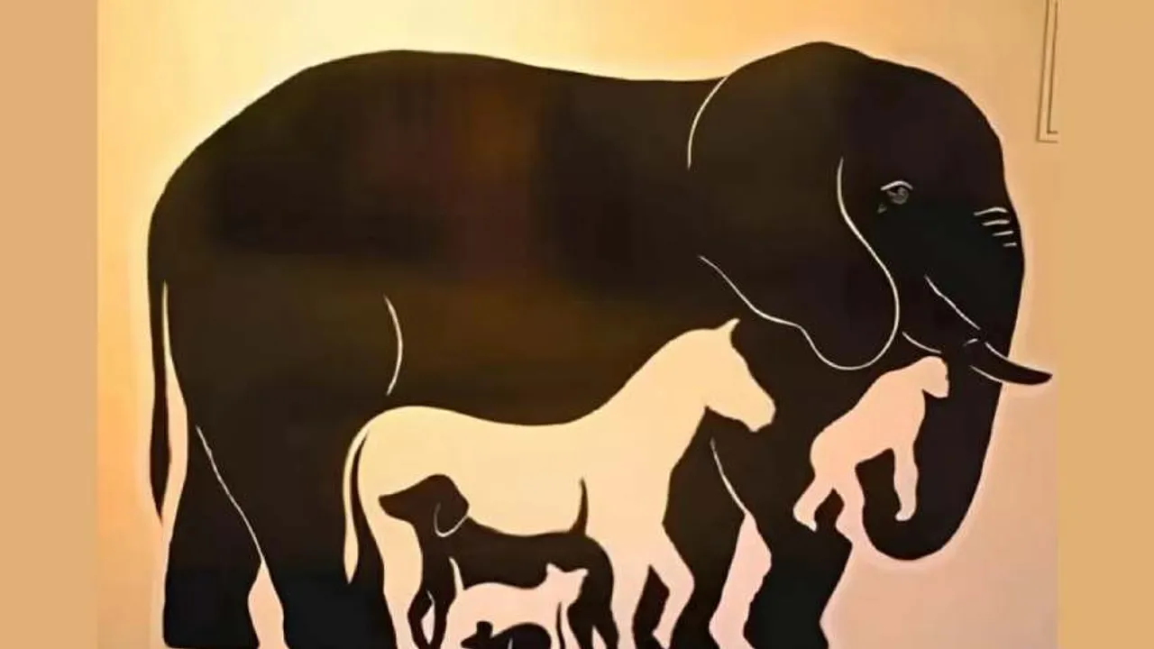 six animals