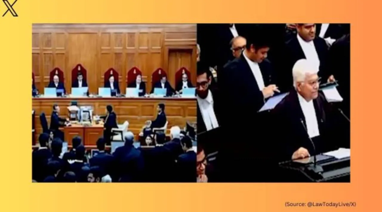 CJI senior.jpg