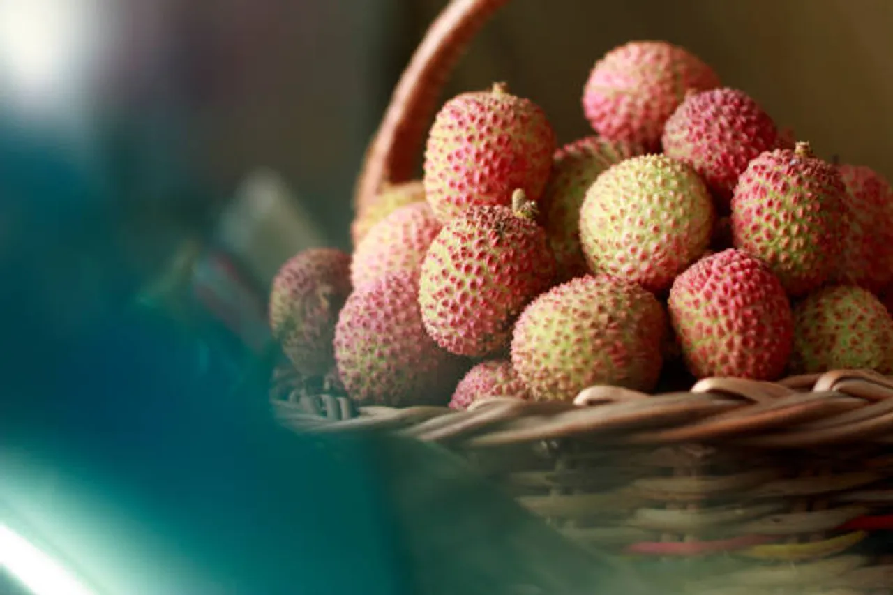 lychee