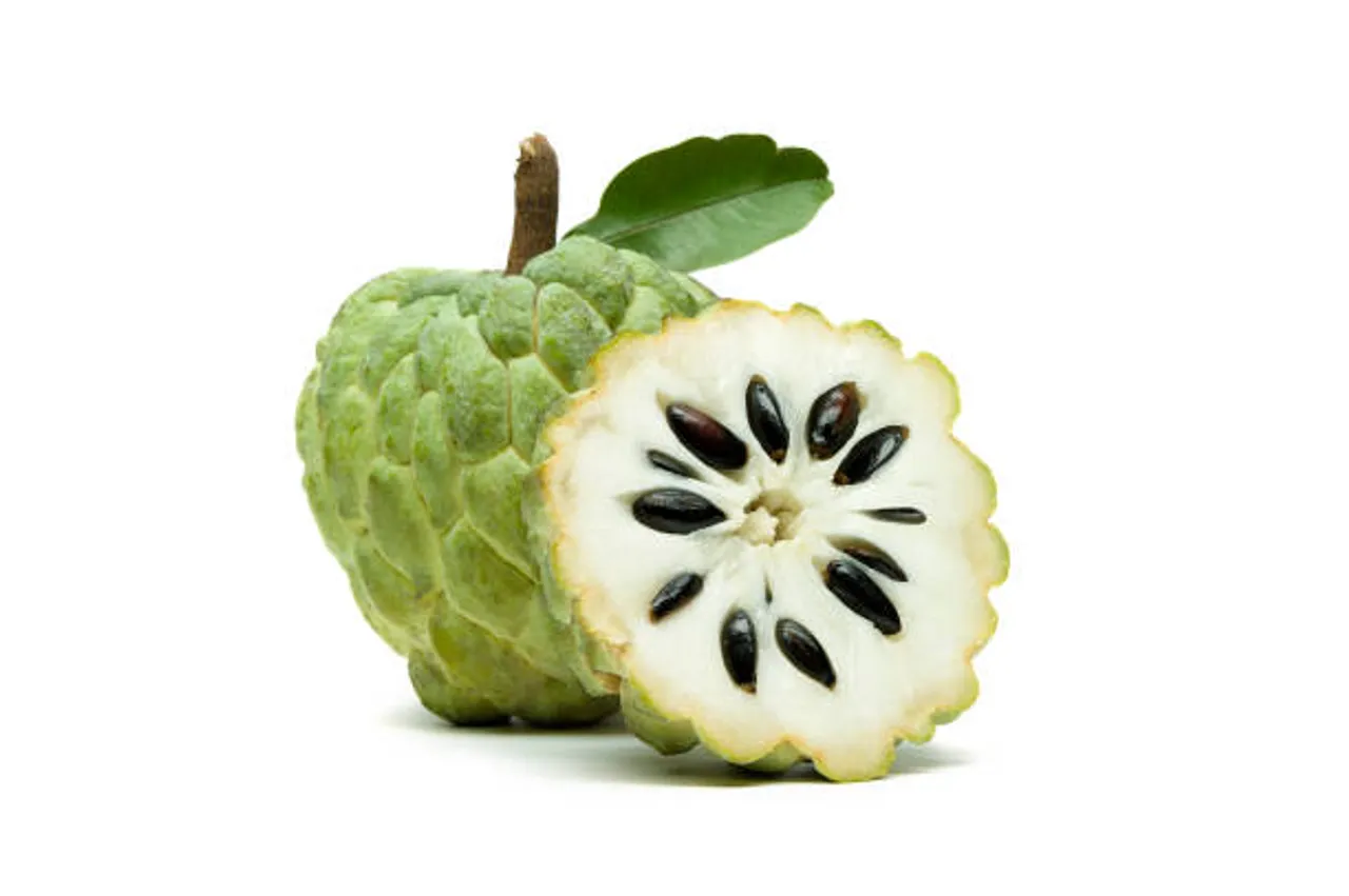 custard apple