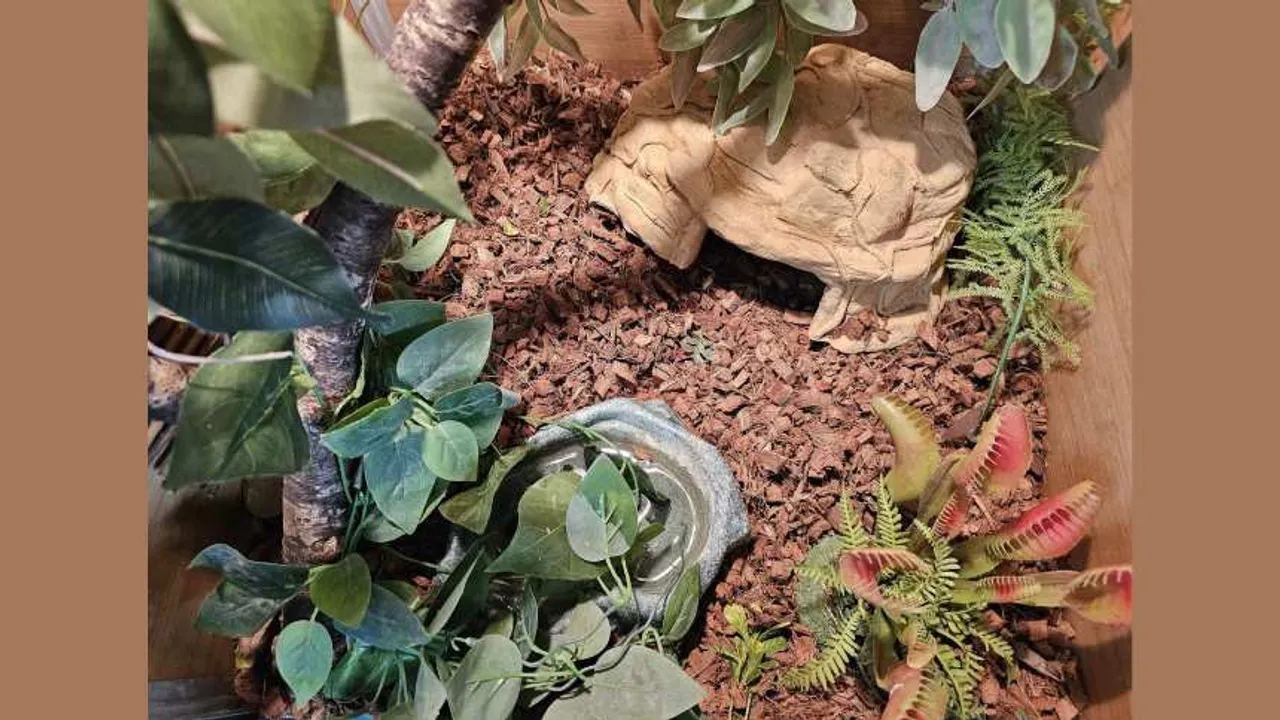 Snake ix 1
