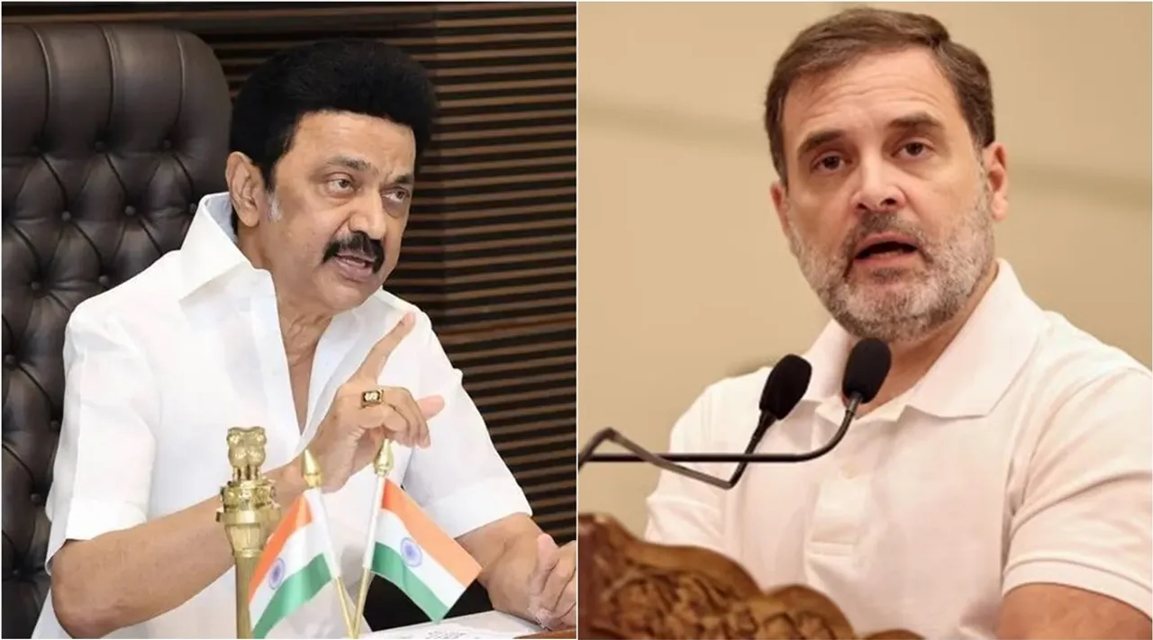 MK Stalin Rahul Gandhi 1