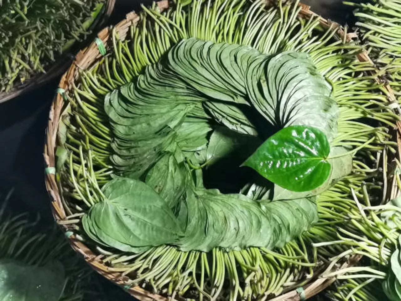 betel leaves