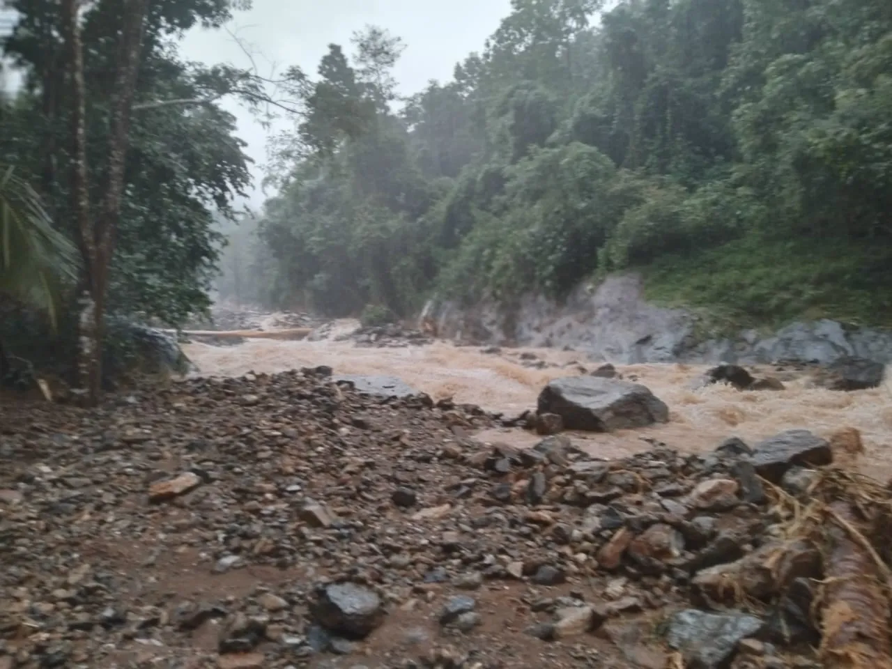 kerala wayanad landslide 