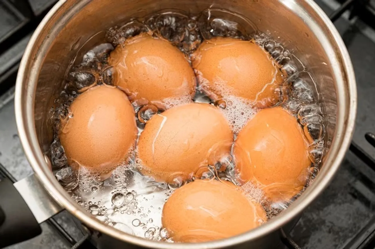 Boiled egg cook