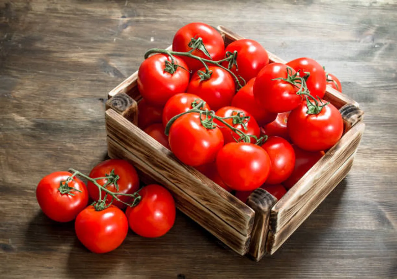 tomato