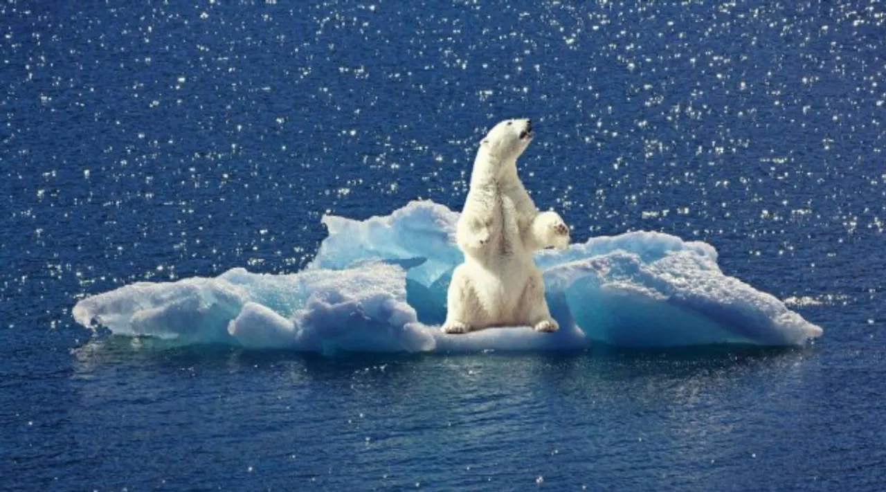 polar ice.jpg