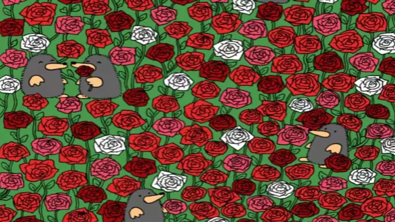 Rose 1
