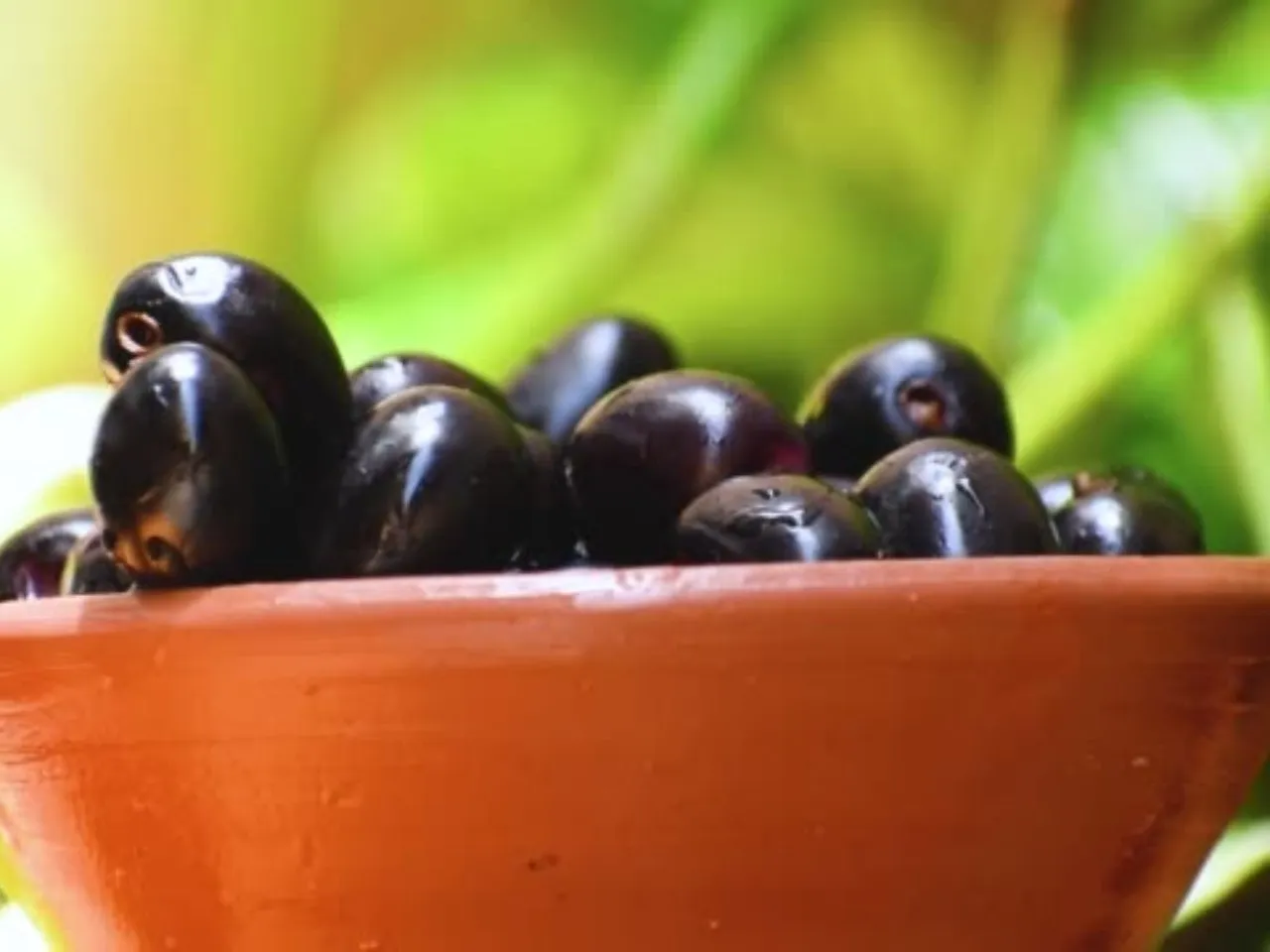 jamun