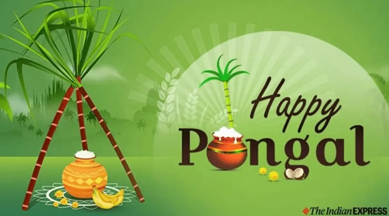 Pongal Wishes