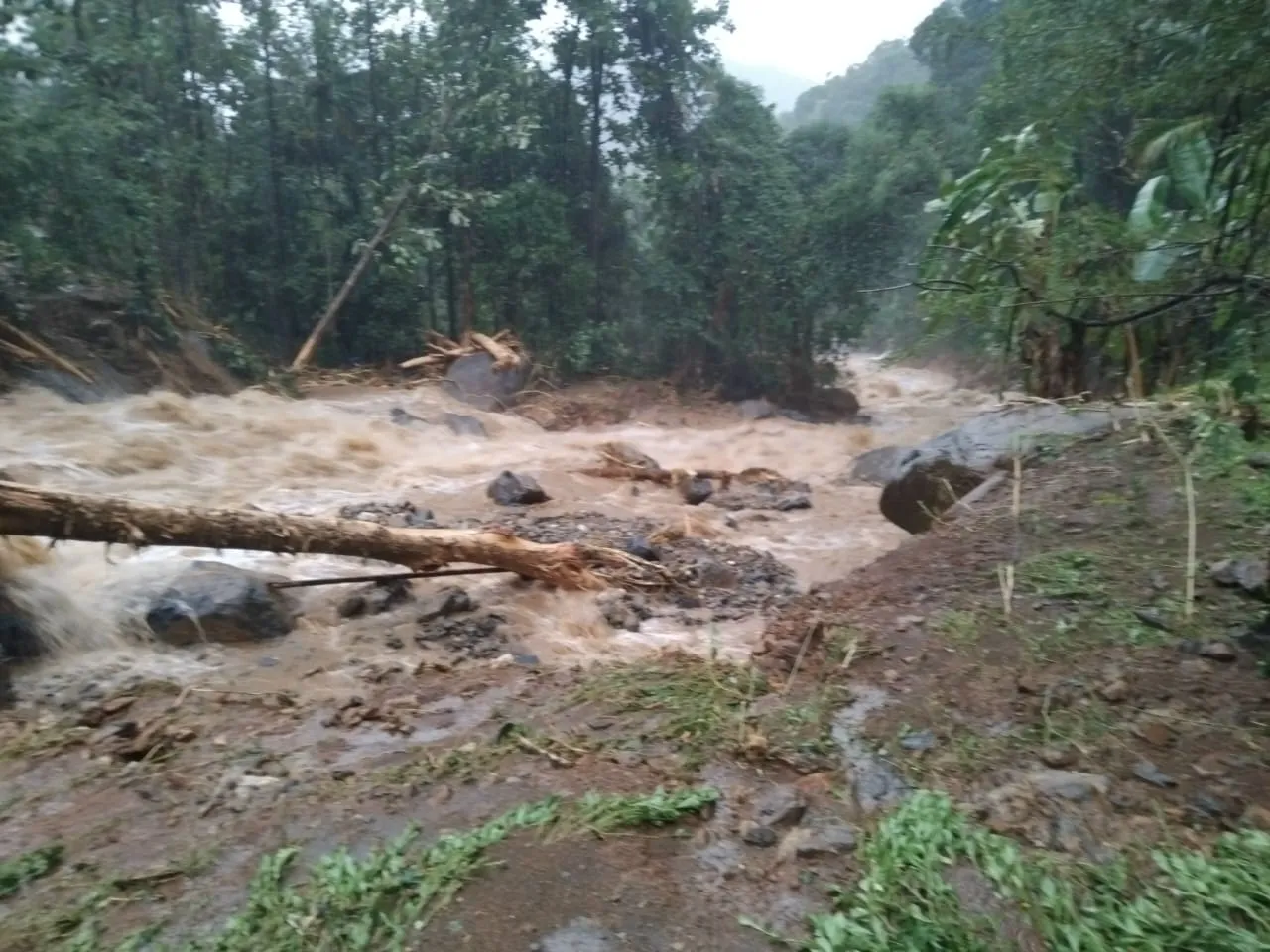 kerala wayanad landslide 
