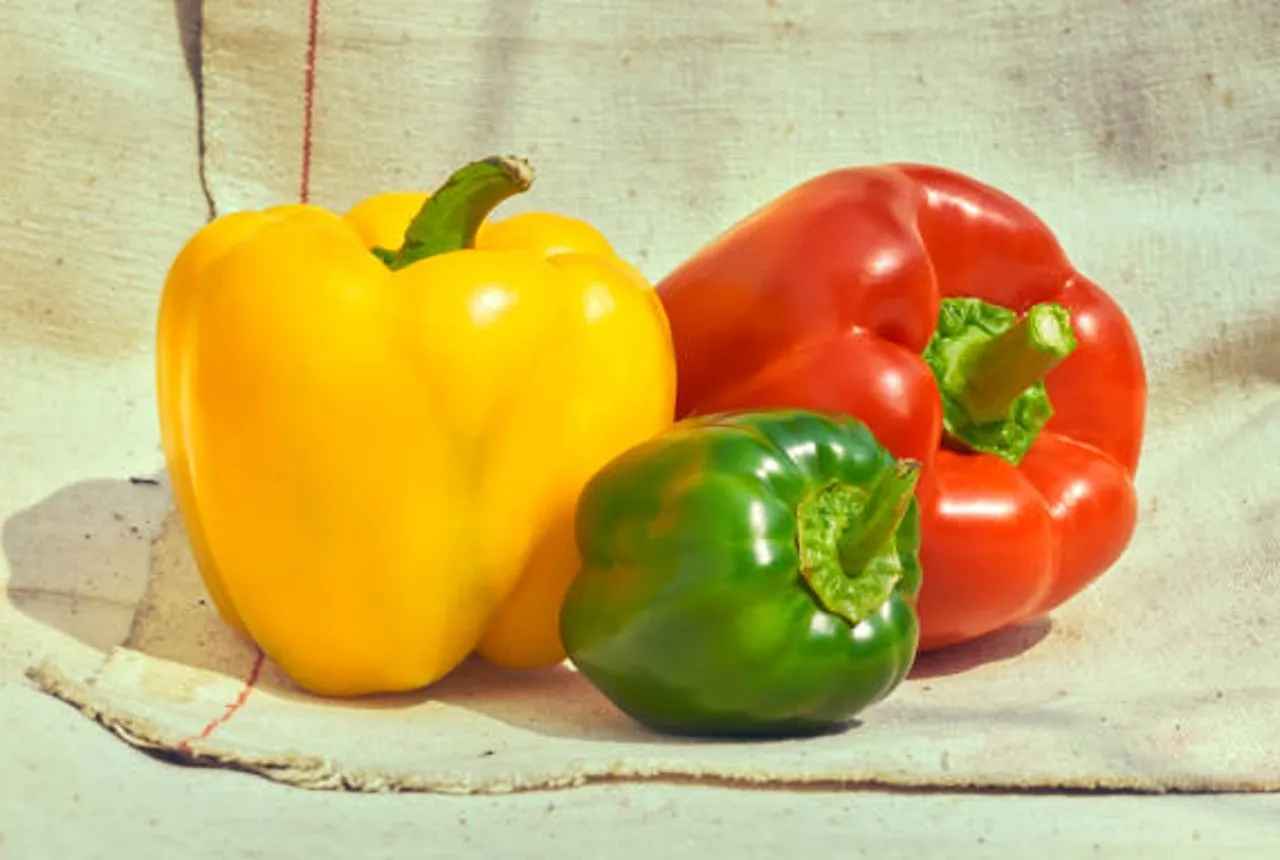 capsicum
