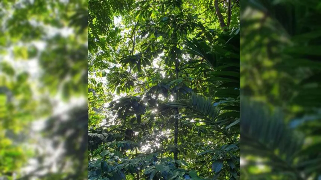 spot the snake 1