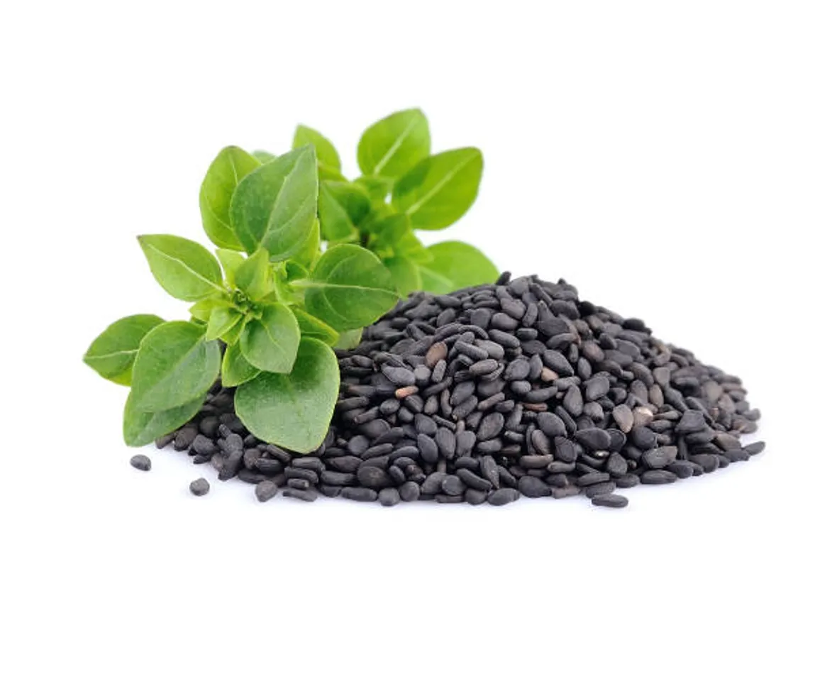 basil seeds