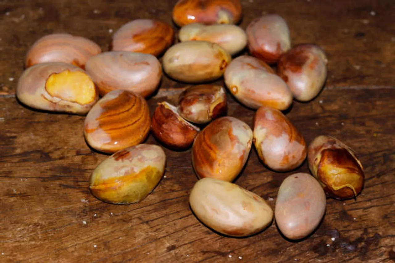 jackfruit seeds