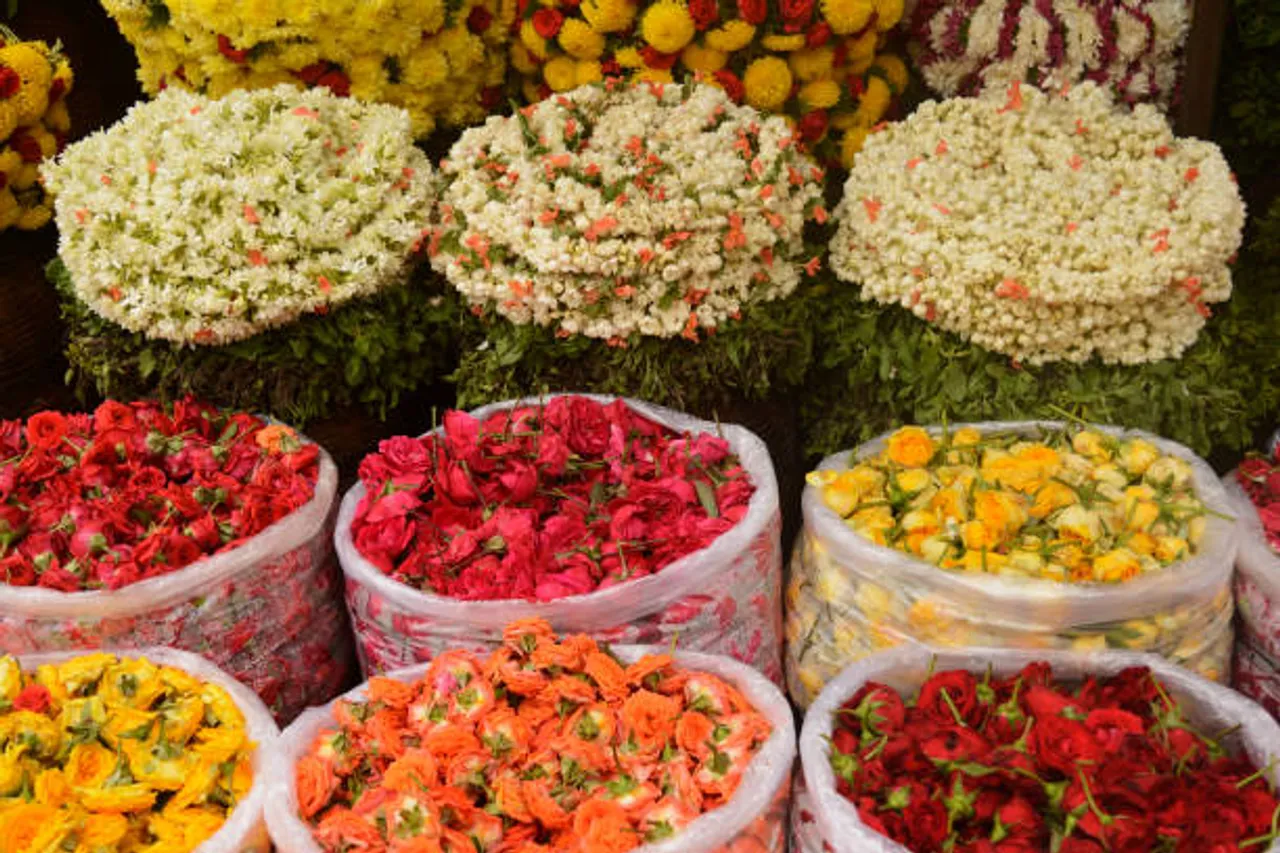 flowers