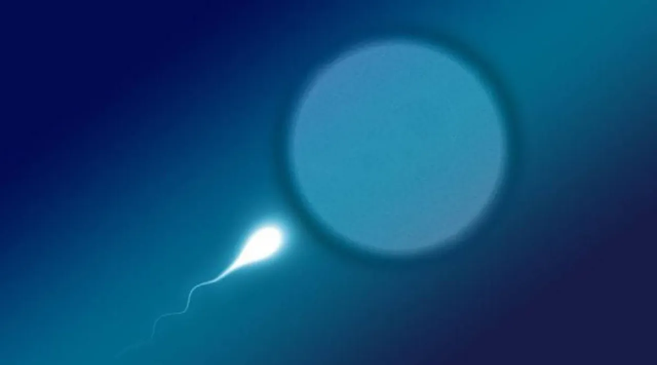 fertility.jpg