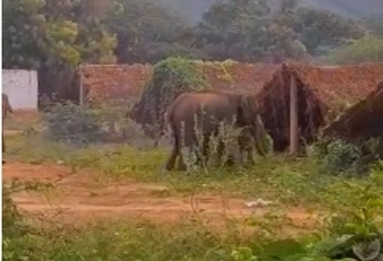 Coimbatore