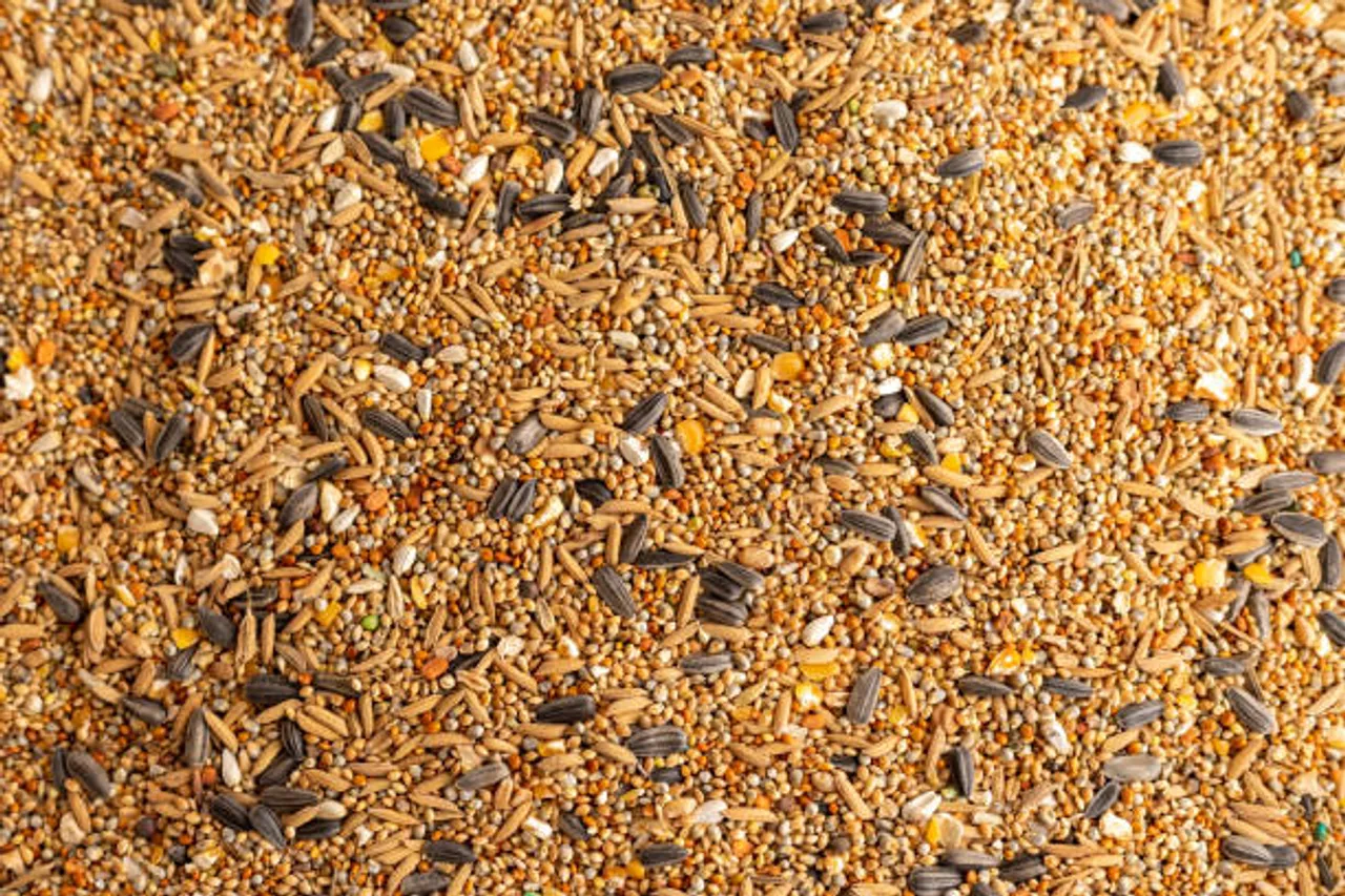 seeds