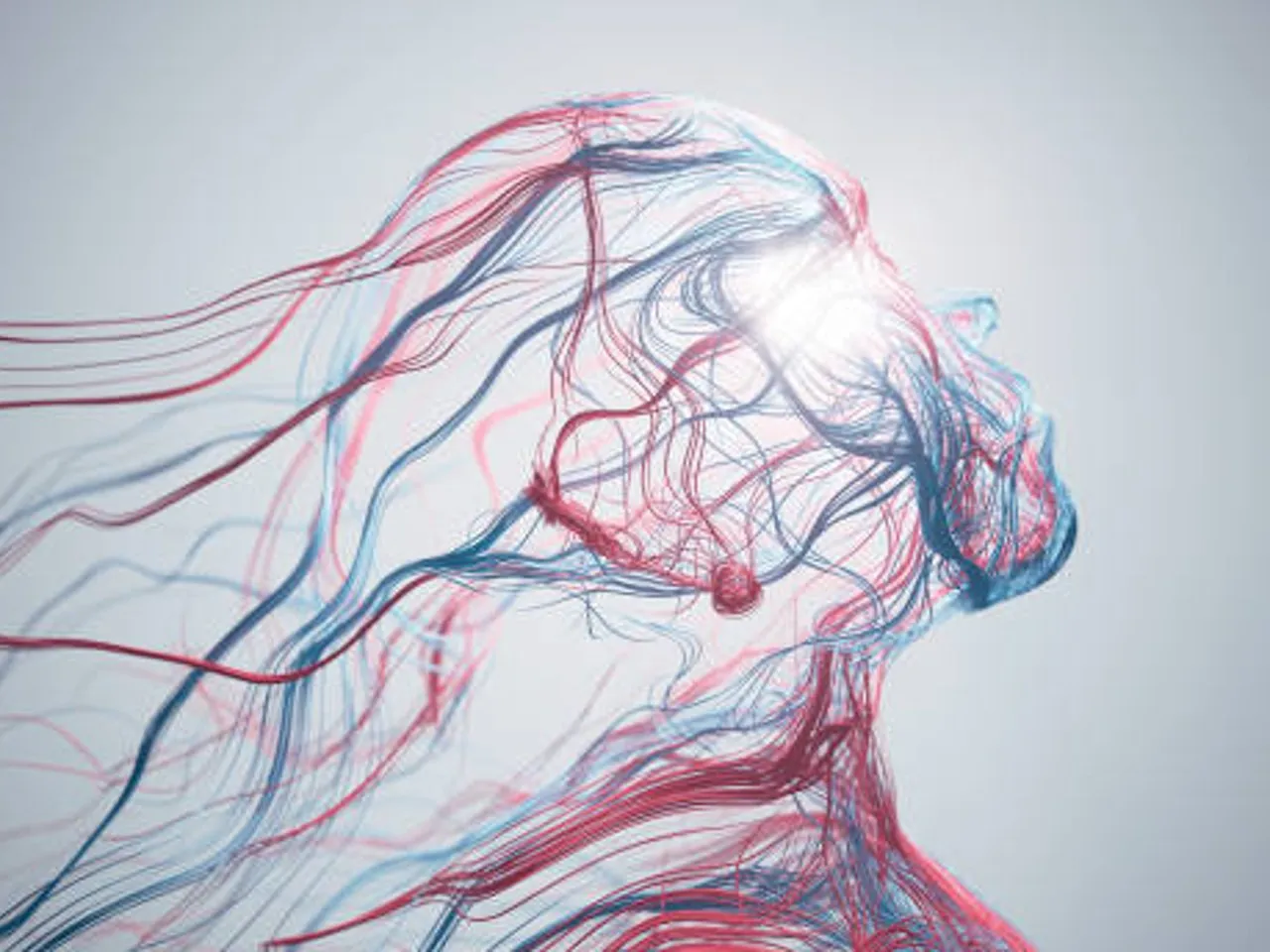 nerves