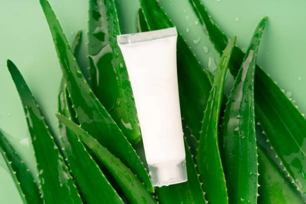 aloe vera