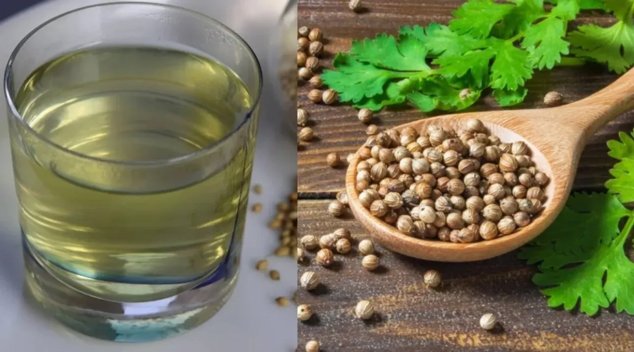 Coriander Water morning drinking benefits in tamil  