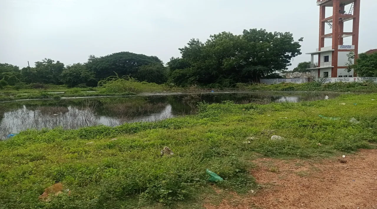 pond 1