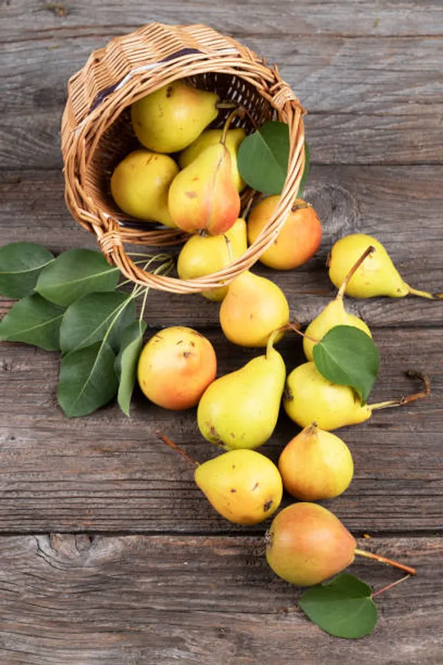 pear
