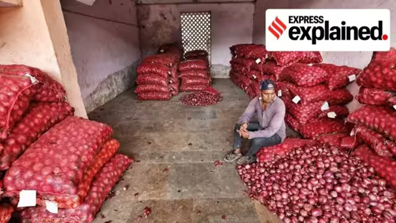 APMC wholesale market in Ahmedabad