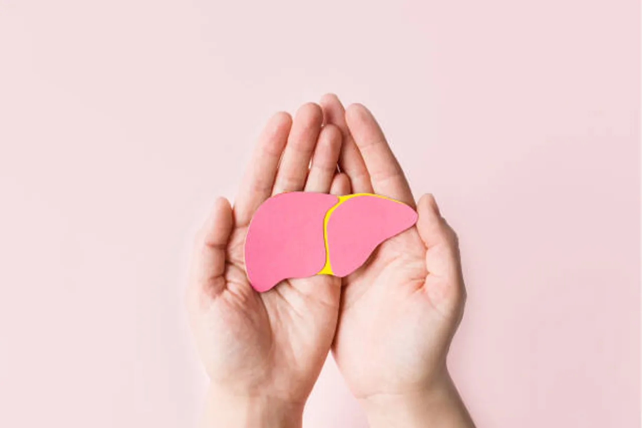 liver