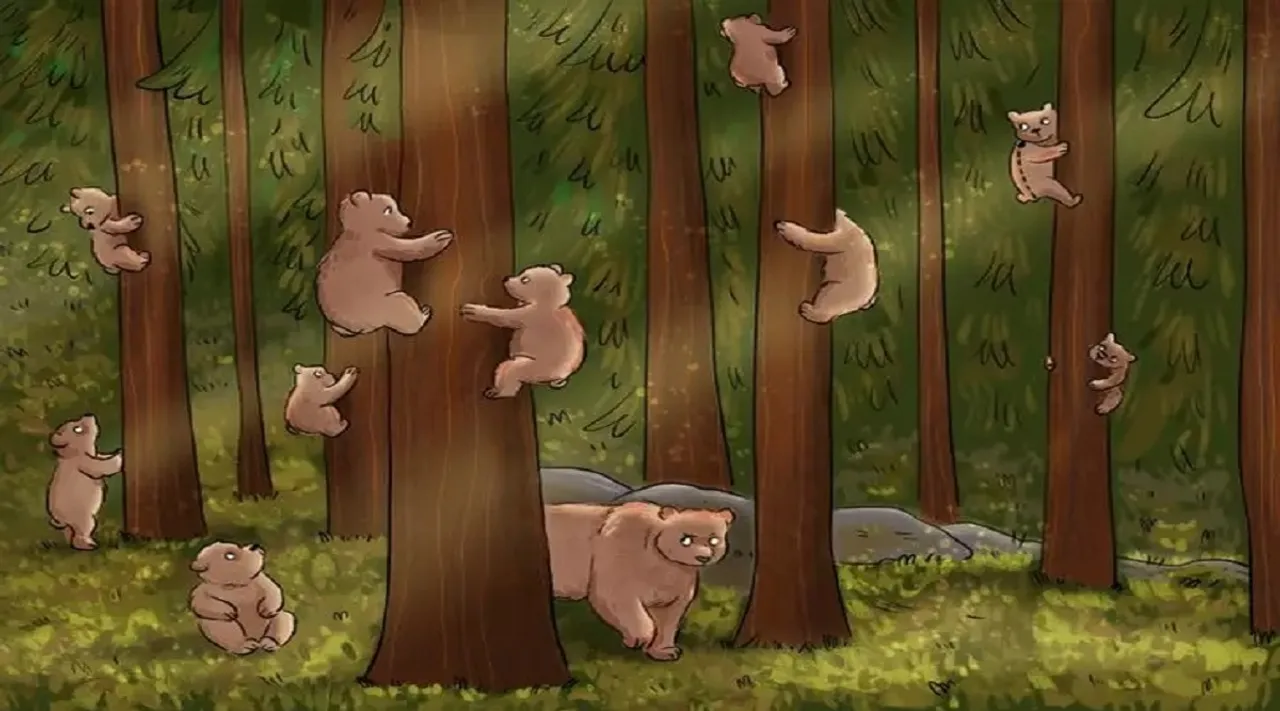 bear optical illusion