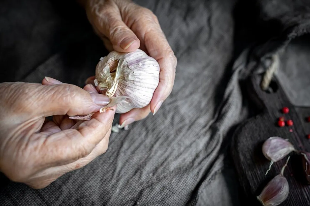 garlic