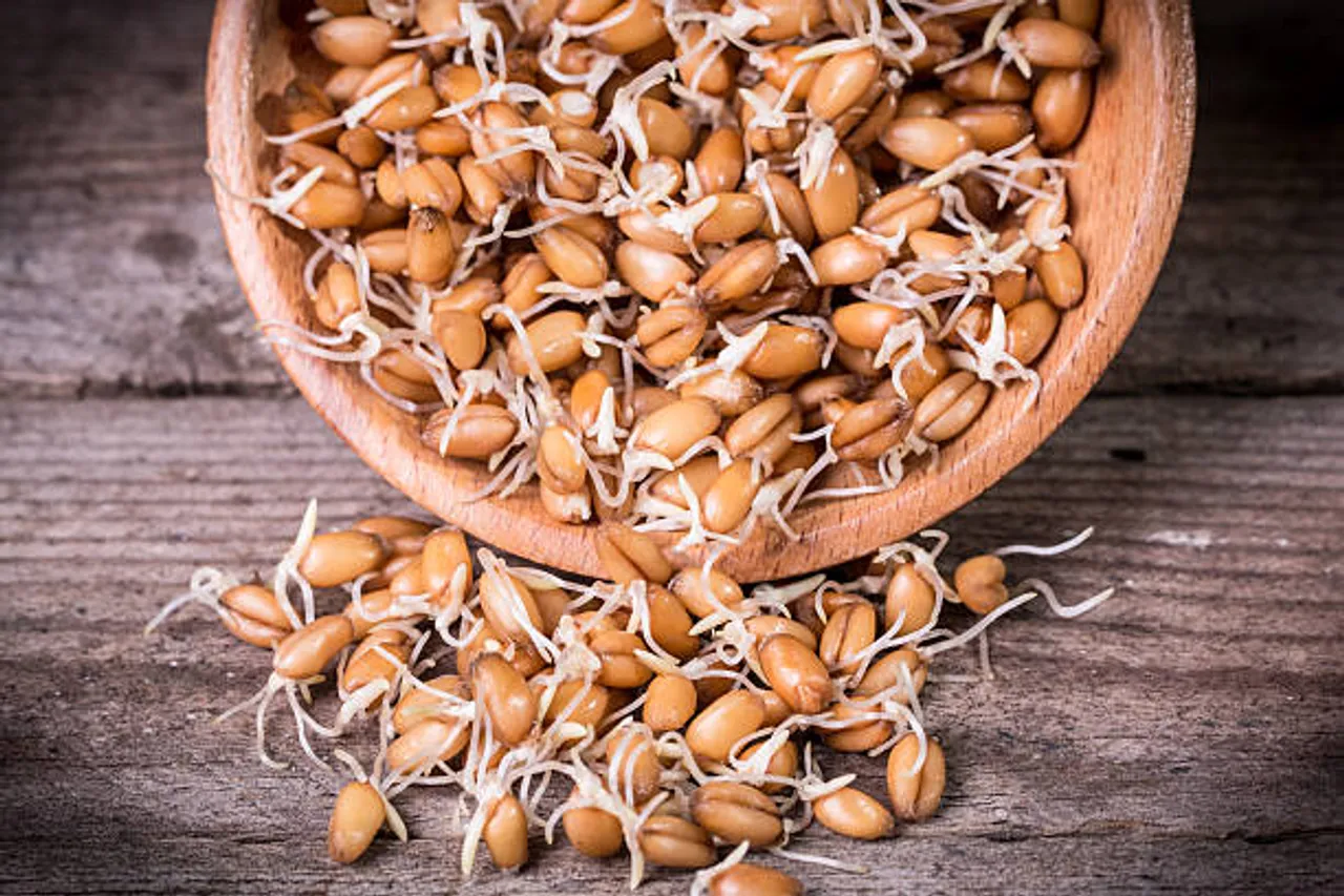 sprouts