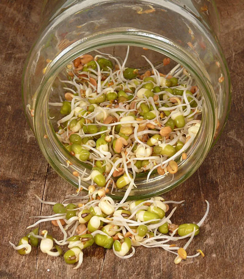 methi sprouts