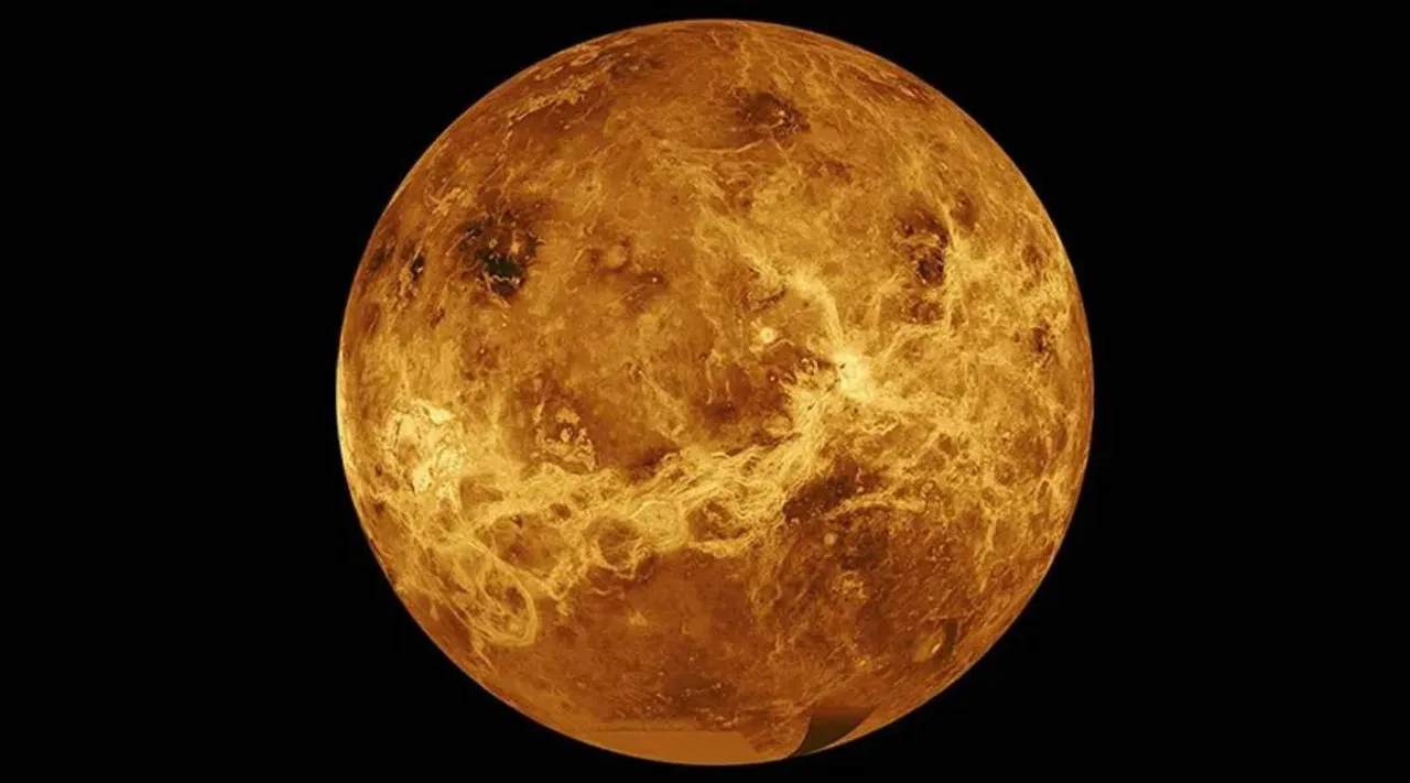 venus 