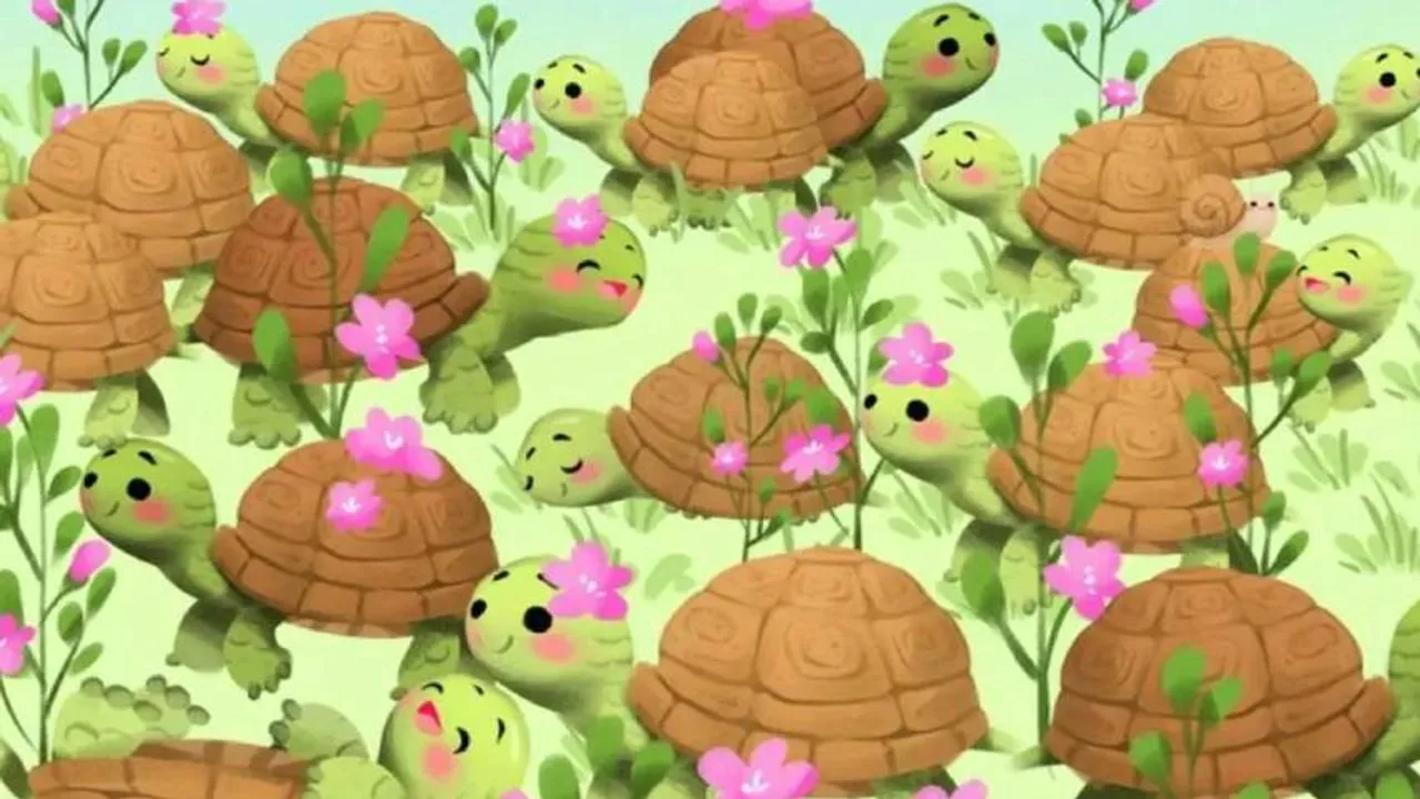 Snail 1