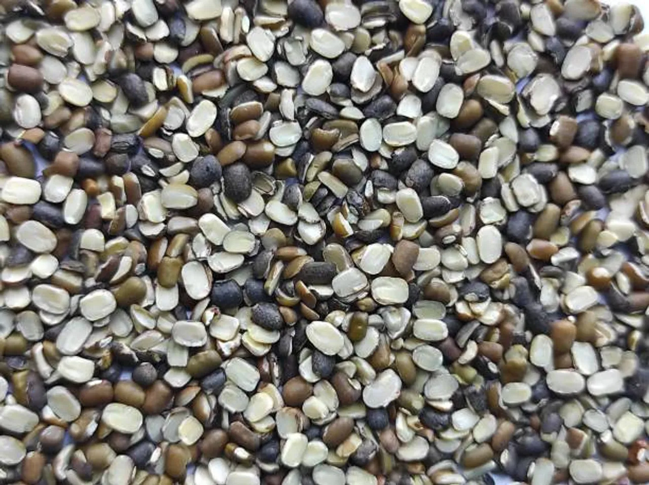 urad dal