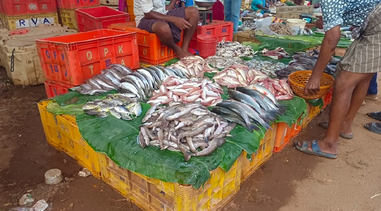 Sivagangai 8 kg of rotten fish seized from weekly market Tamil News 