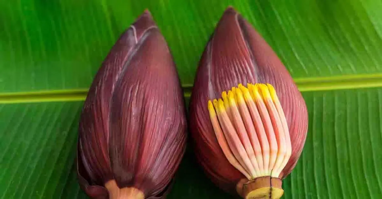 குழம்பு