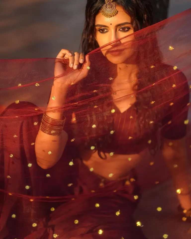 bigg boss nivashini 