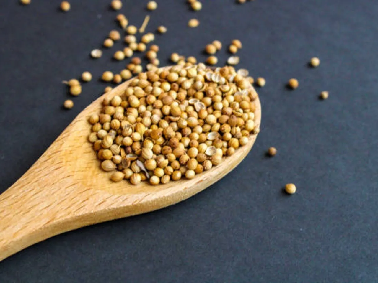 coriander